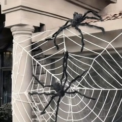 Набор 2 паука для Хэллоуина, 50 см, 12102